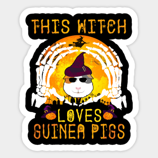 This Witch Loves Guinea Pigs Halloween (125) Sticker